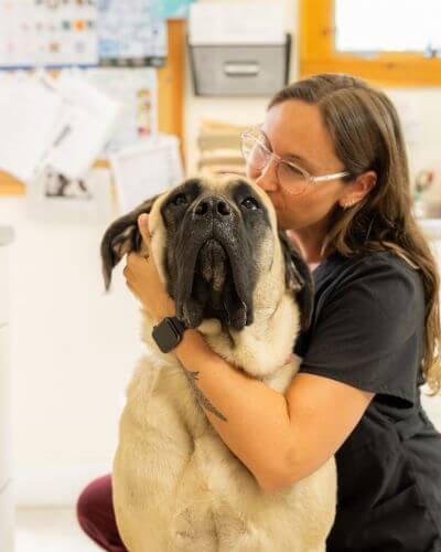 a vet in black dress kissing a pet